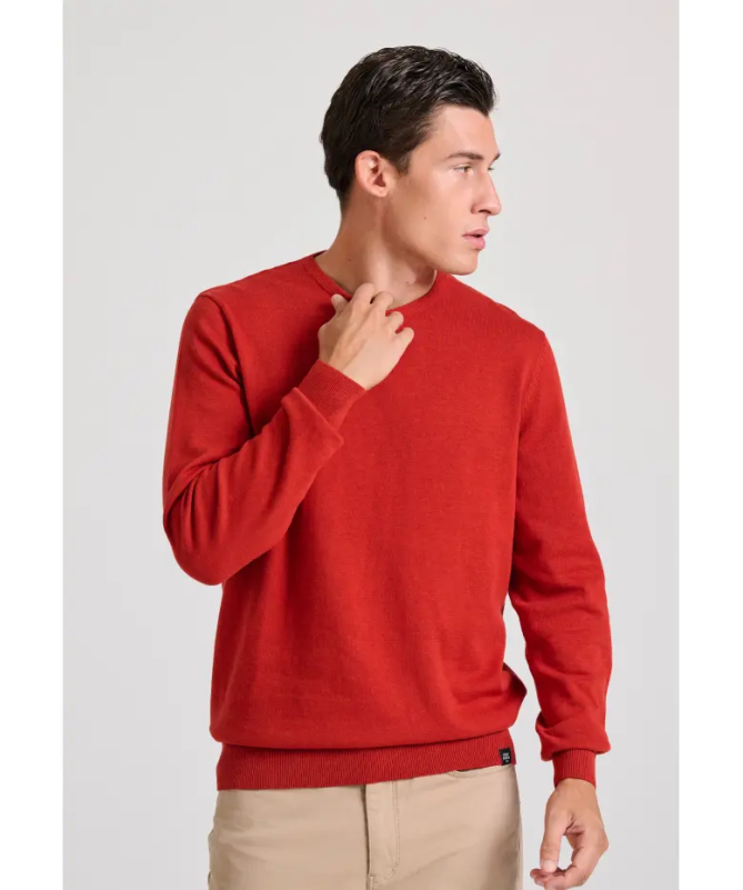 Funky Buddha ανδρικό πουλόβερ μονόχρωμο Regular Fit - 23