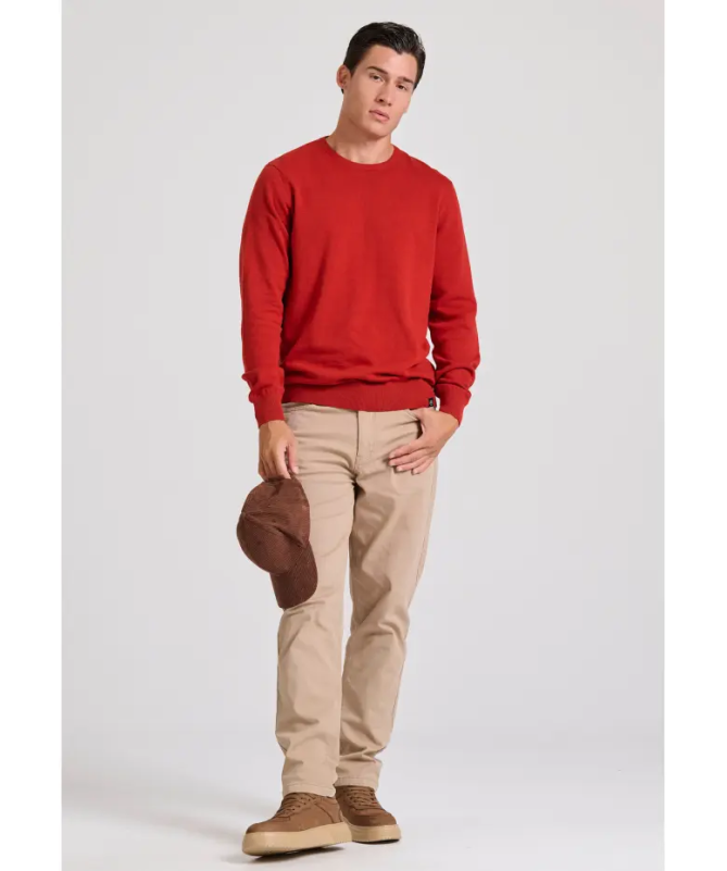 Funky Buddha ανδρικό πουλόβερ μονόχρωμο Regular Fit - 24