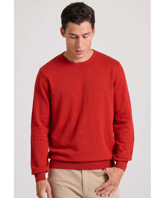 Funky Buddha ανδρικό πουλόβερ μονόχρωμο Regular Fit - 25