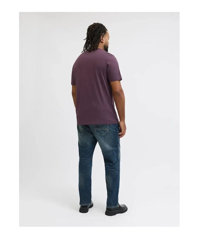 JACK AND JONES PLUS FIT T-SHIRT - 12243625 - 16